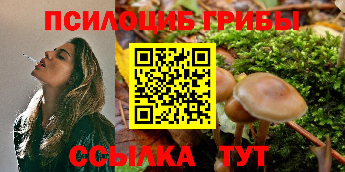 Галлюциногенные грибы GOLDEN TEACHER Бор