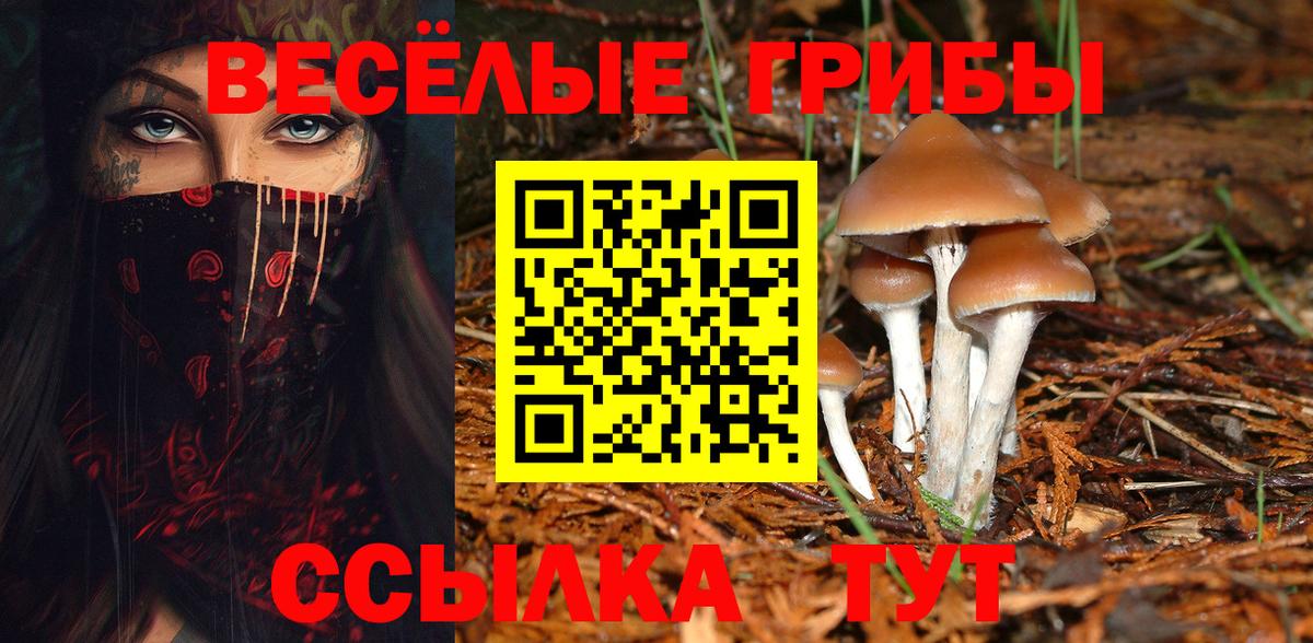 где найти наркотики  Галлюциногенные грибы Psilocybine cubensis  Вход с VPN  Псилоцибиновые грибы Cubensis  Бор 